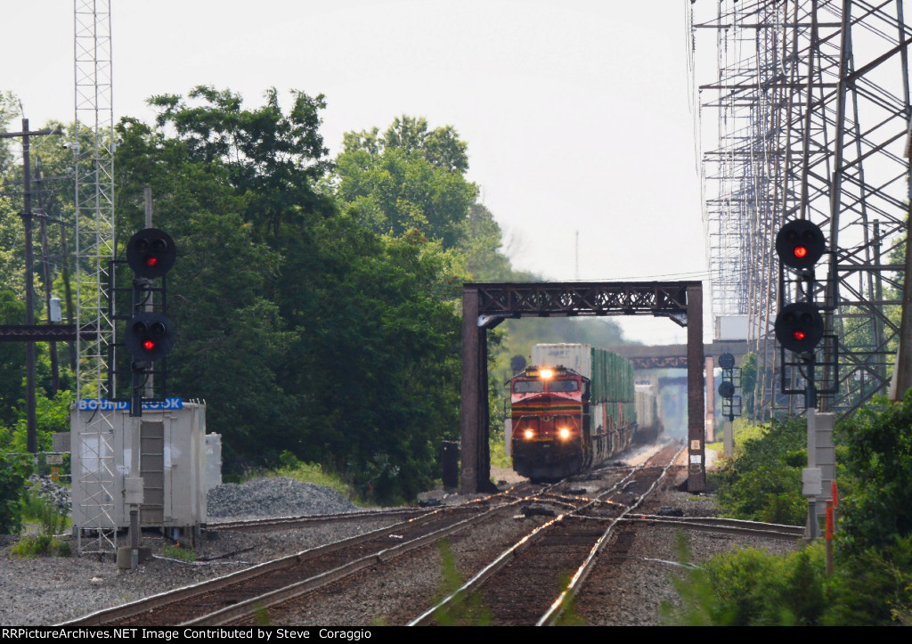 My First Catch of NS 8114